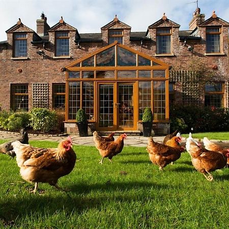 Blackwell House Banbridge Eksteriør billede